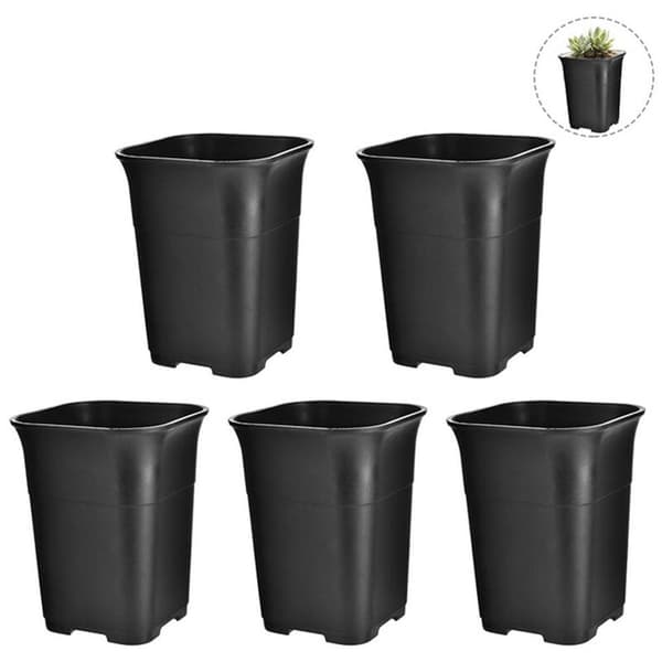5 Pcs Black Square Tall Mini Nursery Succulent Planter Potted Small Flower Pots, L