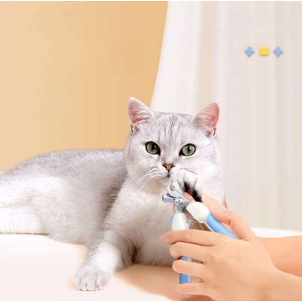 6-Piece Pet Grooming Set: Bathing, Massage, Brushing & Cleaning Tools, Complete Kit for Cats and Dogs