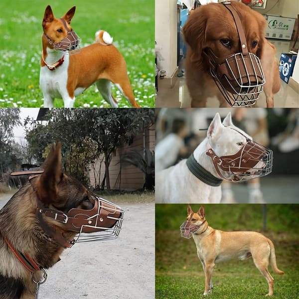 Dog Muzzle - Anti-Bark - Anti-Bite - Adjustable - For Medium Dogs - Size M - Nose 22-28 cm - Neck 40-47 cm
