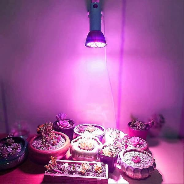 Plantelys, led10w E27 Høyeffekts Fullspektrum LED-panel Drivhus Hydroponisk Plantelys-Yvan