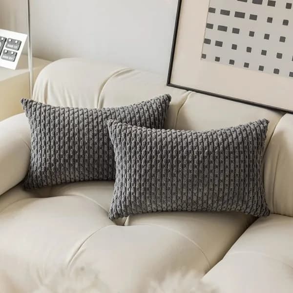 Sammet Kuddfodral Randigt Dekorativt Kuddfodral med Dold Dragkedja, Lämpligt för Hem/Soffa/Sovrum/Bil, 2-pack (30 x 50 cm Grått)