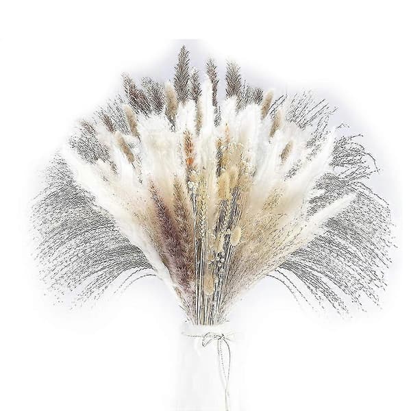 Dried Pampas Grass, Pampas Pampas, Reed Grass Reed, Dried Bouquet