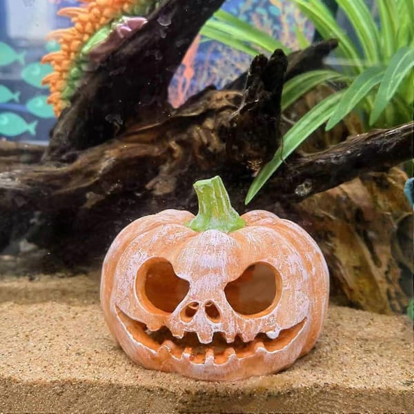 Græskarlygter til akvarium | Efterårsdekoration til akvarium | Halloween-dekorationer til akvariet