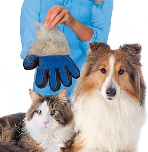 #Oikean käden hansikas Magic Pet -puhdistusharja sininen#