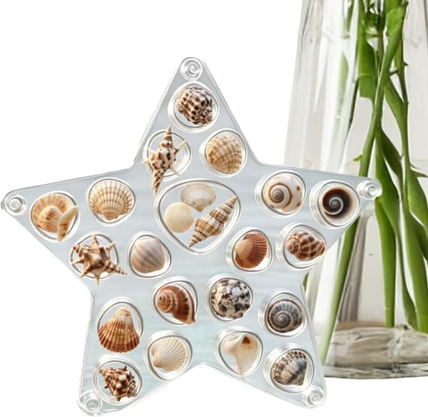 stativ for skall, arrangør, gjennomsiktig, dekorativt, elegant -