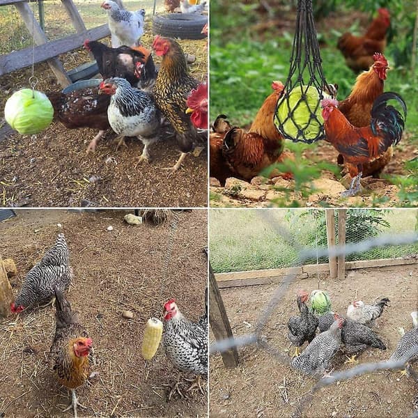 Chicken Vegetable Net Fruit Treat Snack Holder Hanging Feeder Coop Feeding Tool, 2 Pcs [DB]