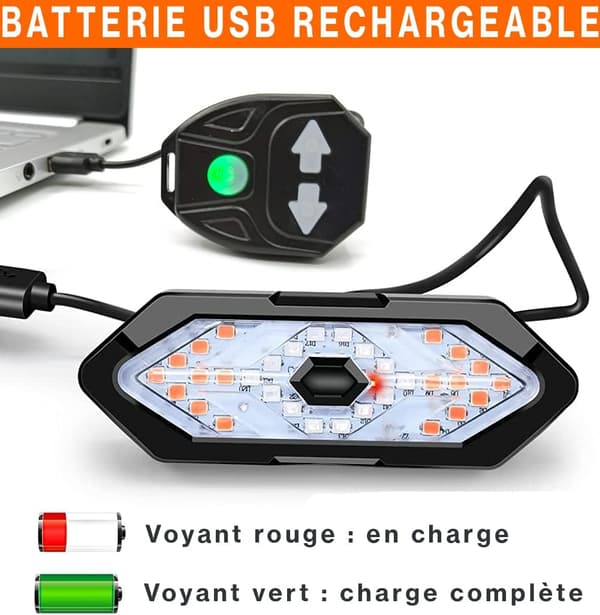 Cycle Turn Signals and Taillight with Sound Effects, Wireless Remote Control