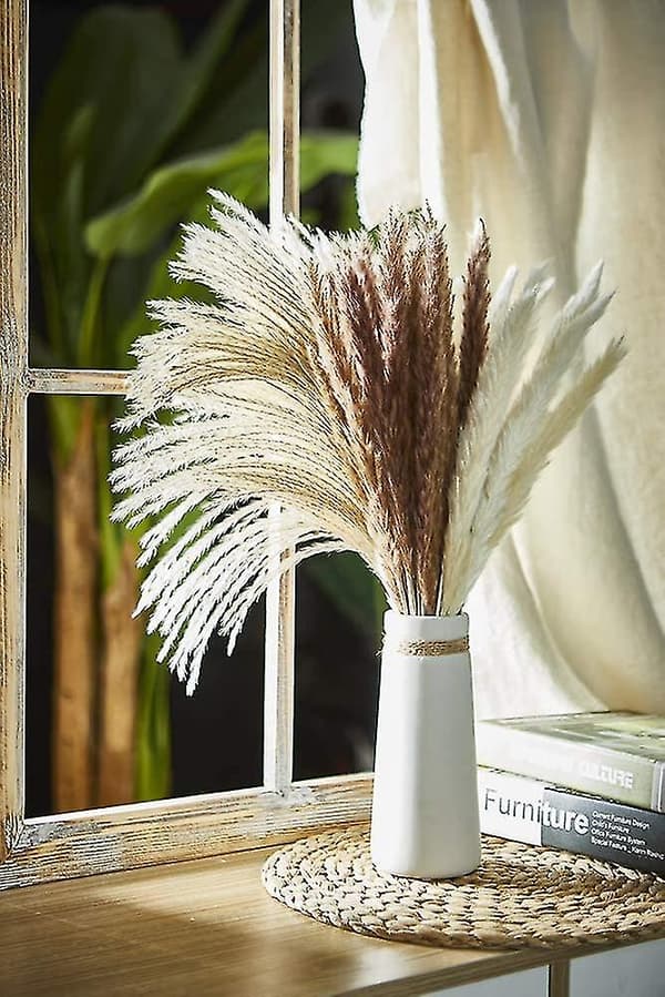 Natural Pampas Grass Dried, Fluffy and Wavy Dried Flowers B B