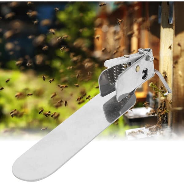 Single-Ended Queen Larva Transfer Tool for Bees, Compatible with Beekeeping, 1 Piece