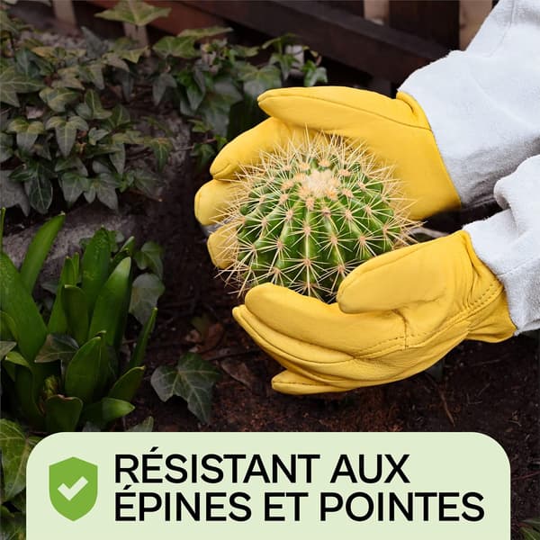 Garden Gloves with Forearm Protection - Thorn Proof - M M