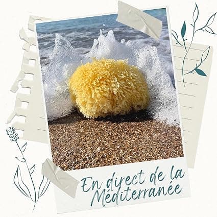 Natural sponge, very soft bath sponge from Greece, for more foam