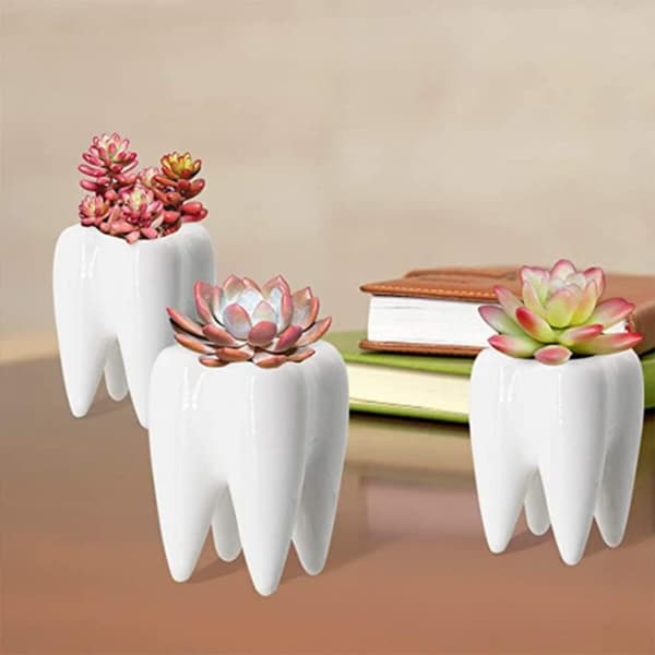 Tooth Shaped Toothbrush Holder, Ceramic Toothbrush Holder Storage Bucket, Personalized Decoration (White)