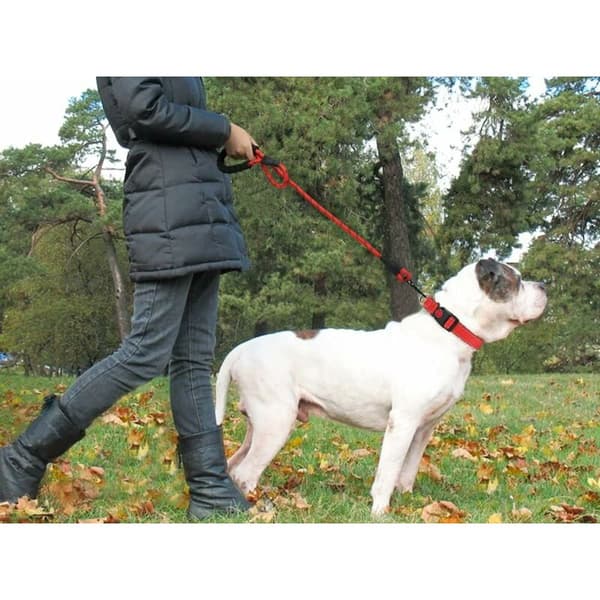 Dog Rope, Nylon Leash with Soft Padded Handle and Reflective Threads, 150cm x 1.2cm, Red