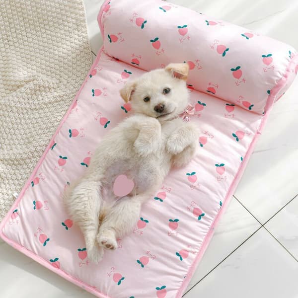 Cool Pet Mat for Summer, Dog Mat Pet Ice Mat Cool Ice Mat (Green)