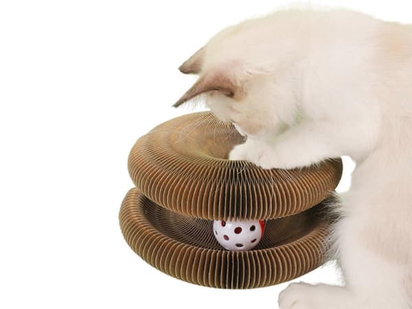 2 st Magisk Orgel Katt Klösbräda Kattleksak med Leksaksboll