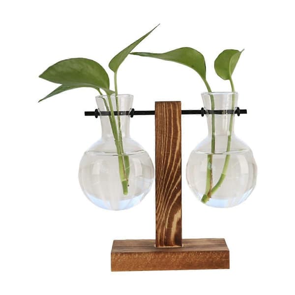 B Planteformeringstationer Skrivebordsplanteterrarium, Glasplanter med Stativ, Formeringstation til Hydroponiske Planter