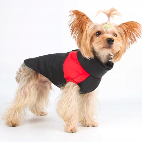 Waterproof Insulated Dog and Cat Jacket with Zipper Size M