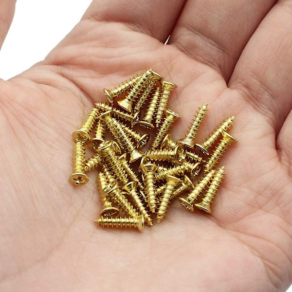 Small Phillips Flat Head Self-Tapping Screw, Cabinet Door Hinge