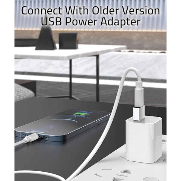 USB A til USB C-adapter Sølv