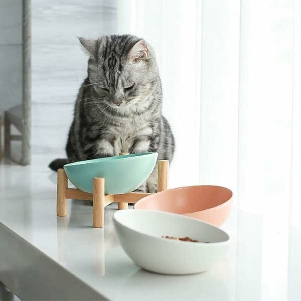 White Elevated Bowl Holder Tilted Bowl for Dogs and Cats Ceramic with Bamboo Wood Stand Small