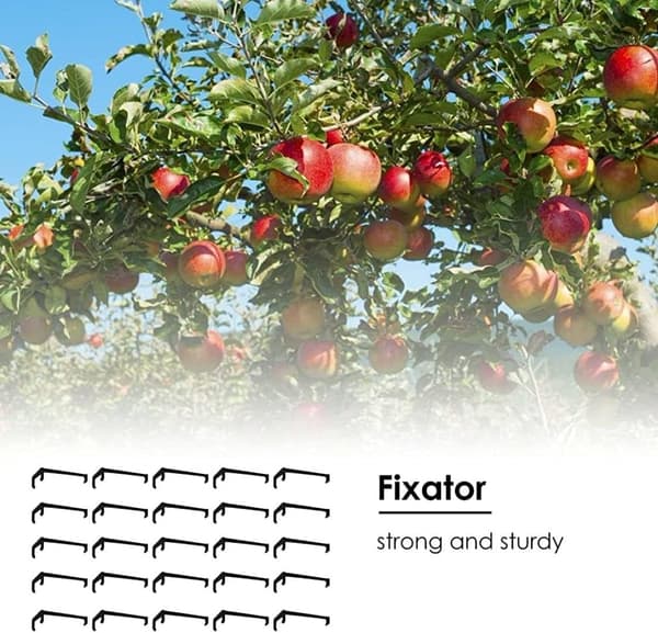 Fruit Branch Spreader - Strengthens Branches on Apple Trees and Others