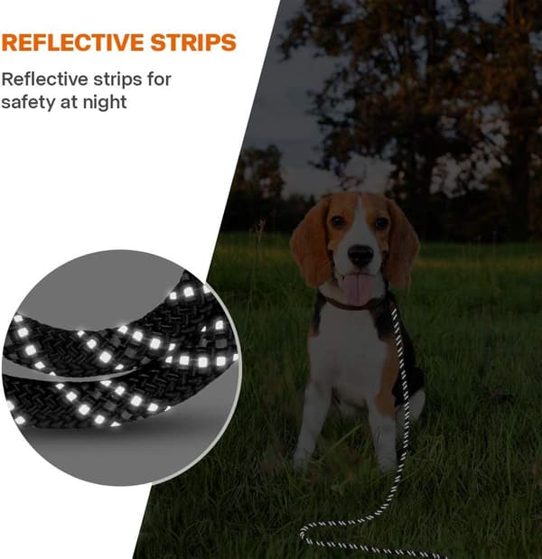 Dog Leash 1.5m, Long Leash with Padded Handle for Small to Large Dogs, Black