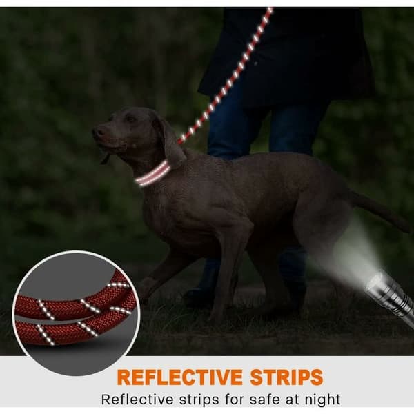 Dog Rope, Nylon Leash with Soft Padded Handle and Reflective Threads, 150cm x 1.2cm, Red