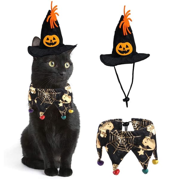 Kat Heks Halloween Kostume, Hundehalsbånd og Heksehat til KLB