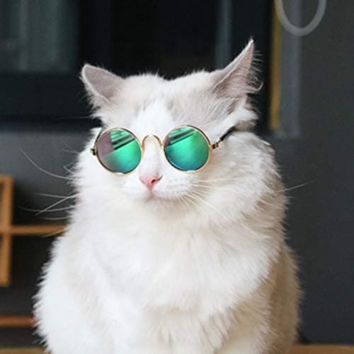 Hundesolbriller, UV-beskyttelsesbriller til kat og hund