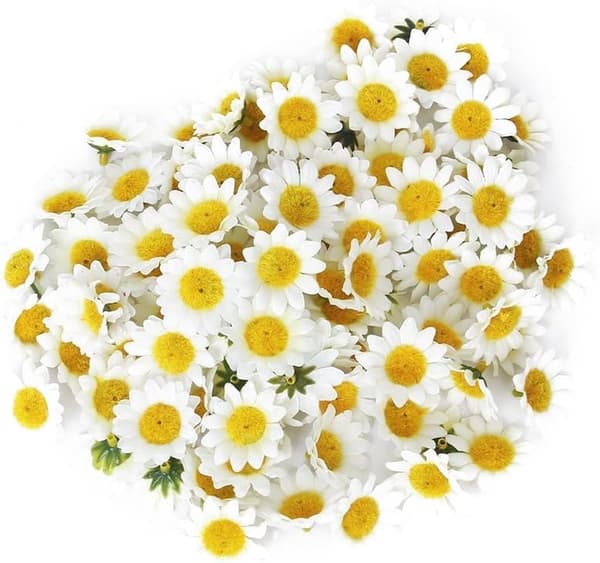Kunstige Gerbera-Margeritter til DIY Bryllupsfest - 100 stk.