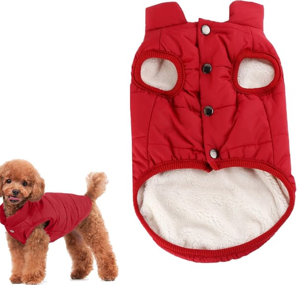 Pet Winter Clothes Red M Red red