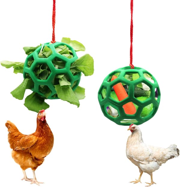 Two Hanging Fruit and Vegetable Holders for Chickens, and Cabbage Feeder.