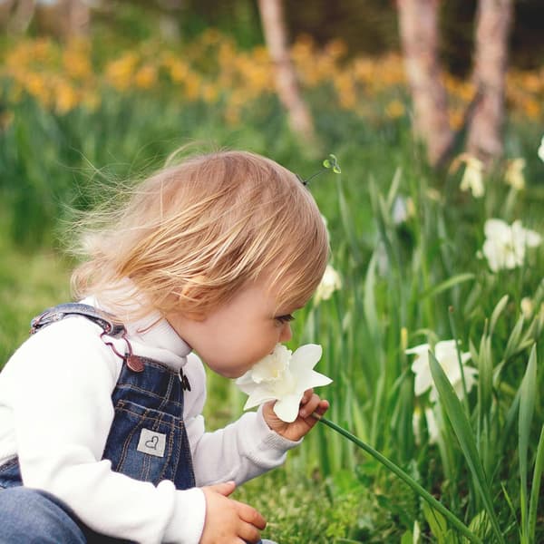 48 stk. små hårspenner i søt blomsterform -