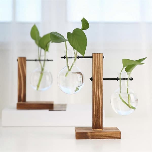 B Planteformeringstationer Skrivebordsplanteterrarium, Glasplanter med Stativ, Formeringstation til Hydroponiske Planter