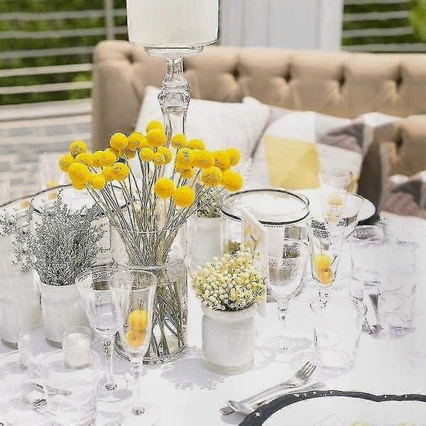 40 stk. tørrede Craspedia Button Blomsterbuket