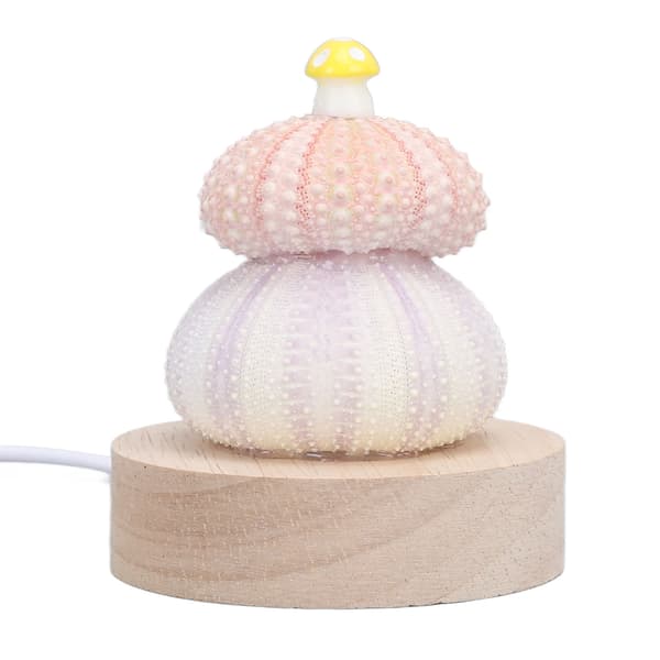 LED Night Light Warm White USB Plug in Natural Shell Body Cute Mushroom Decor Bedside Lamp