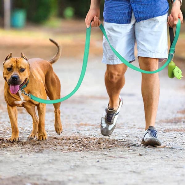 Turquoise Blue, 6ft Double-Sided Reflective Dog Leash, 6ft/5ft/4ft, Nylon Lined Handle for Walking Medium and Large Dogs,