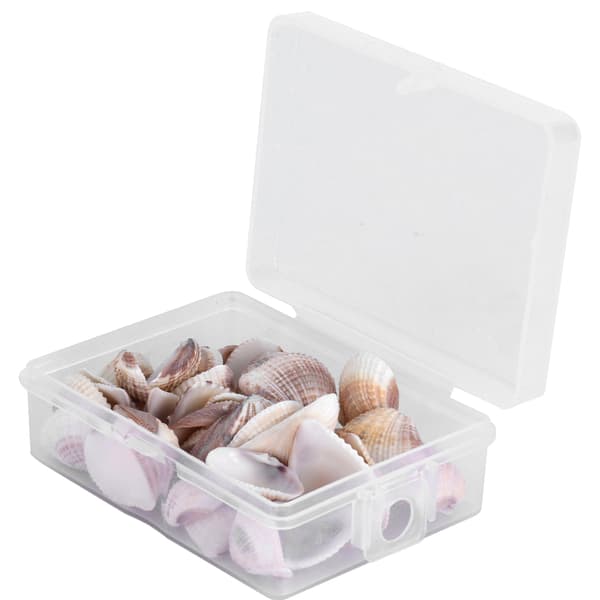 DIY Crafts Natural Shells Jewelry Making Beach Party Wedding Seashell Decorations