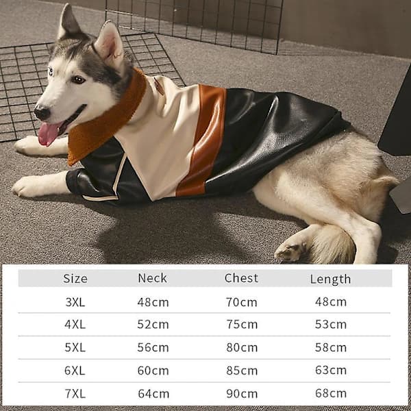 Husdjurskläder Vinter Varma Kläder för Stor Hund Cool Läderjacka Kappa 3XL