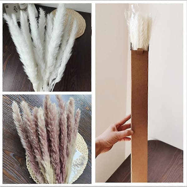 Pampas Grass 75 pcs 44 cm, Fluffy Stem Bouquet for Home Decor Wedding Boho Decor (4 Different Nat