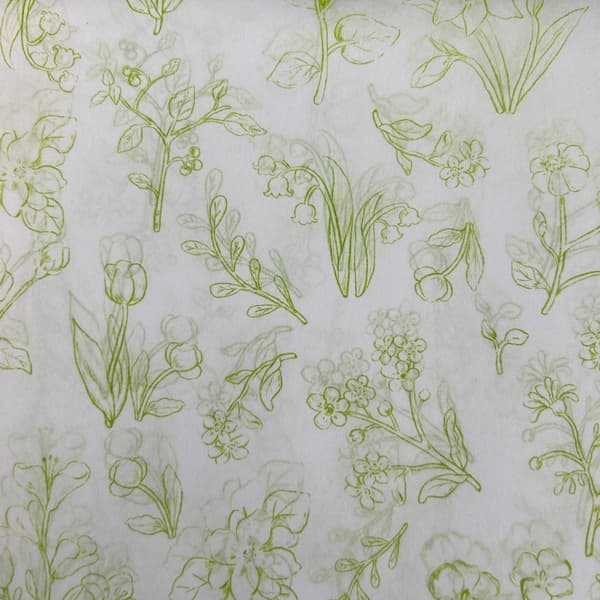 50 ark 50x70cm grønt botanisk linje blomstret silkepapir til gaveindpakning og håndværk