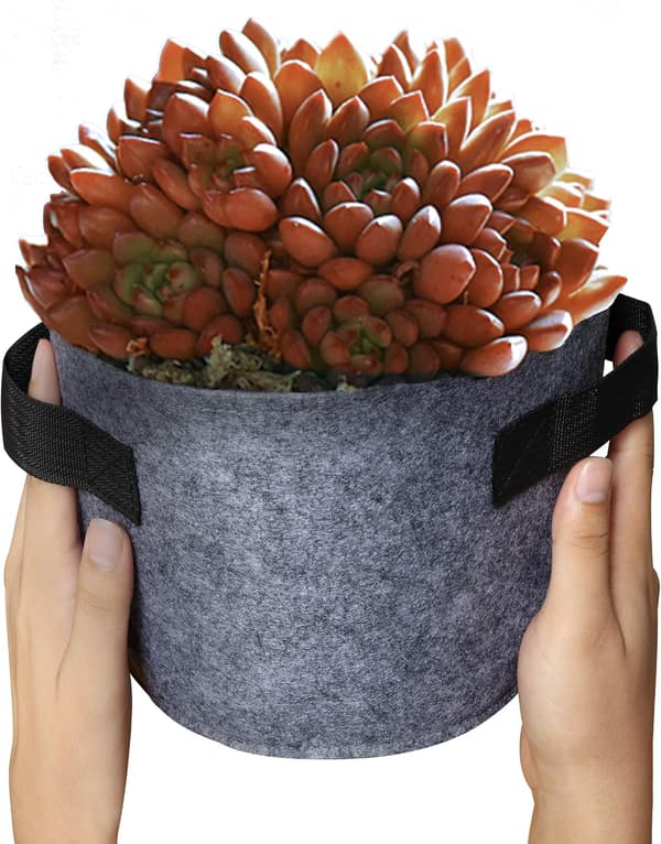 8-pack Durable Fabric Grow Bags with Handles for Vegetables, Flow