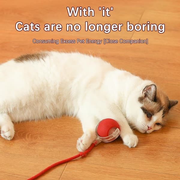 Interactive Cat Toys, Long Tail Ball, Teasing Toy, Motion Activated Electric Rolling Ball, Smart Automatic Teasing Stick, USB Rechargeable