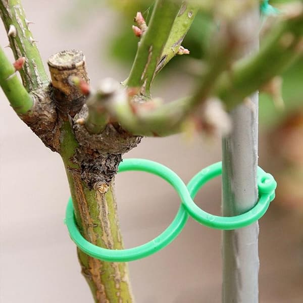 100-pack Garden Vegetable Plant Support Ring Clips L L