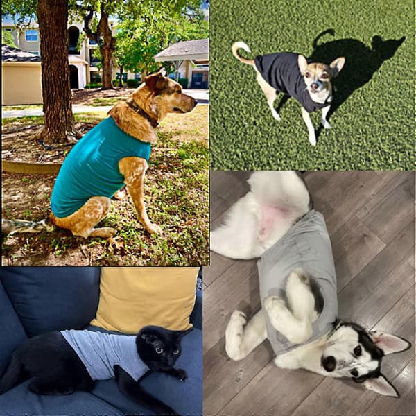 Hundetøj i bomuld, ensfarvede hunde-T-shirts, bløde og åndbare bomuldstrøjer velegnede til katte og hvalpe (2 stk.) (Small, Sort + Grå)