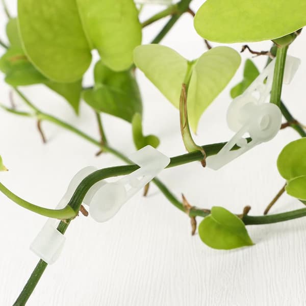 Plantebøyer 360 Grader Treforgrening Modelleringsverktøy Modulator Bonsai