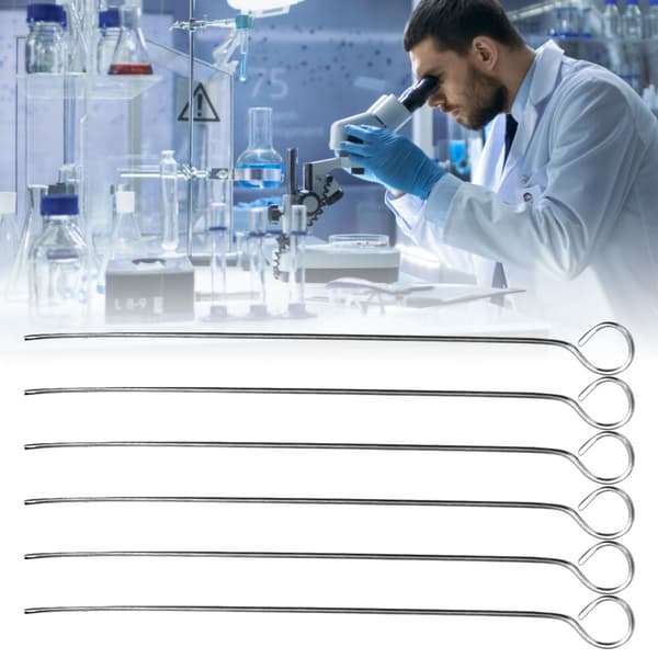 50 pcs Inoculating Loop Lab Bacterial Culture Microbiology Uses Nichrome Needle Tip