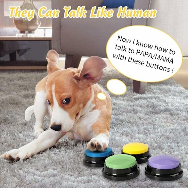 Recordable Dog Training Button Recordable Call Button Pet Training Bell Interactive Games with Dogs 4 Pcs