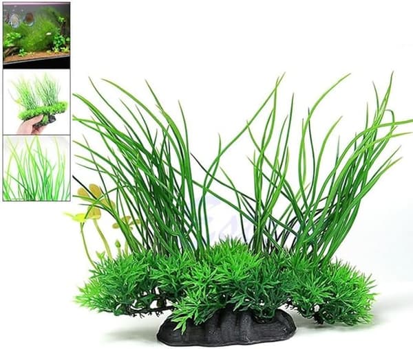 Dekorativ vandplante til akvarium DXGHC