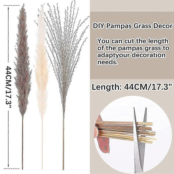 Dried Pampas Grass, Pampas Pampas, Reed Grass Reed, Dried Bouquet